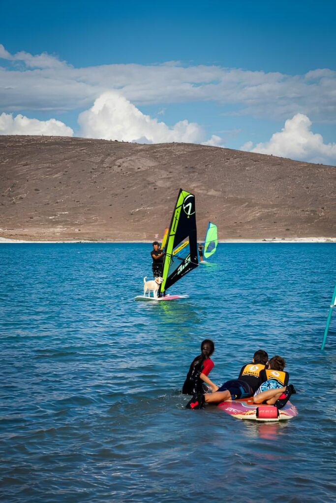 191d02703ba391277464ade54fc0b1fc (1)